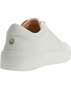 Wholesale 💯 Steve Madden Sneakers & Athletic 🧨 Shoes Toliver Sneaker ❤️ -Steve Madden Store 61olhro4tbS. AC SR736920